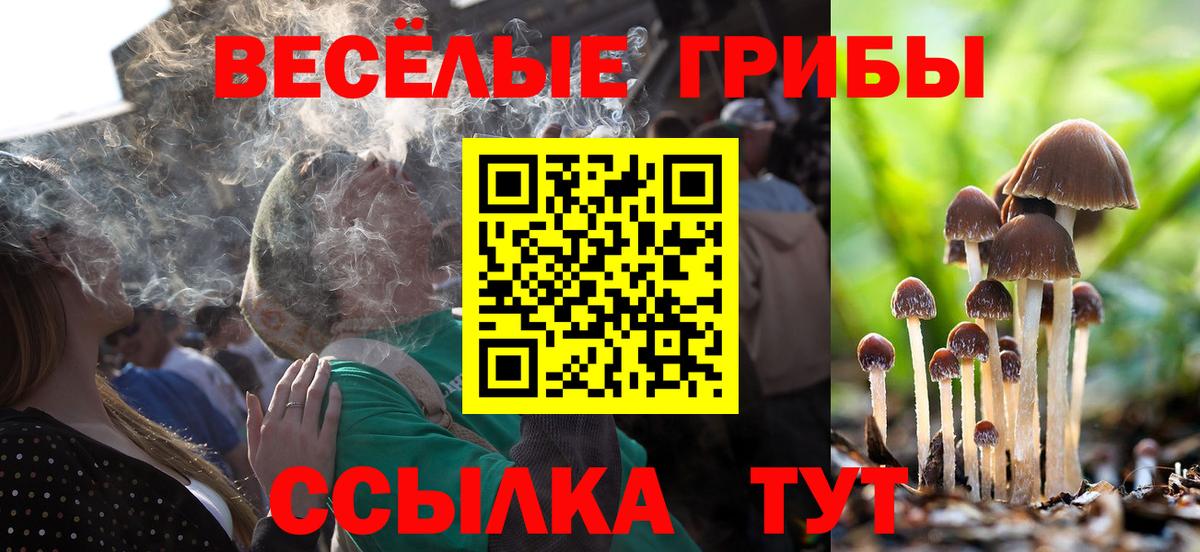 Псилоцибиновые грибы GOLDEN TEACHER  Псилоцибиновые грибы Psilocybine cubensis  Мирный  Вход с VPN 